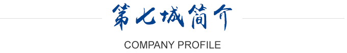 第七城公司簡介 第七城網絡